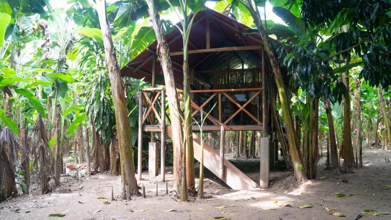 La Playita Hostel Guachaca Ngoại thất bức ảnh