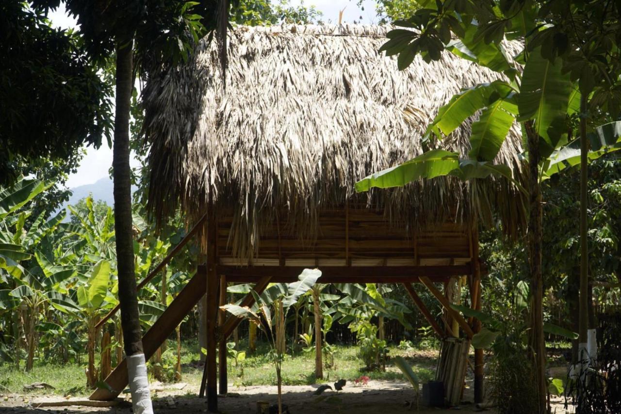 La Playita Hostel Guachaca Ngoại thất bức ảnh