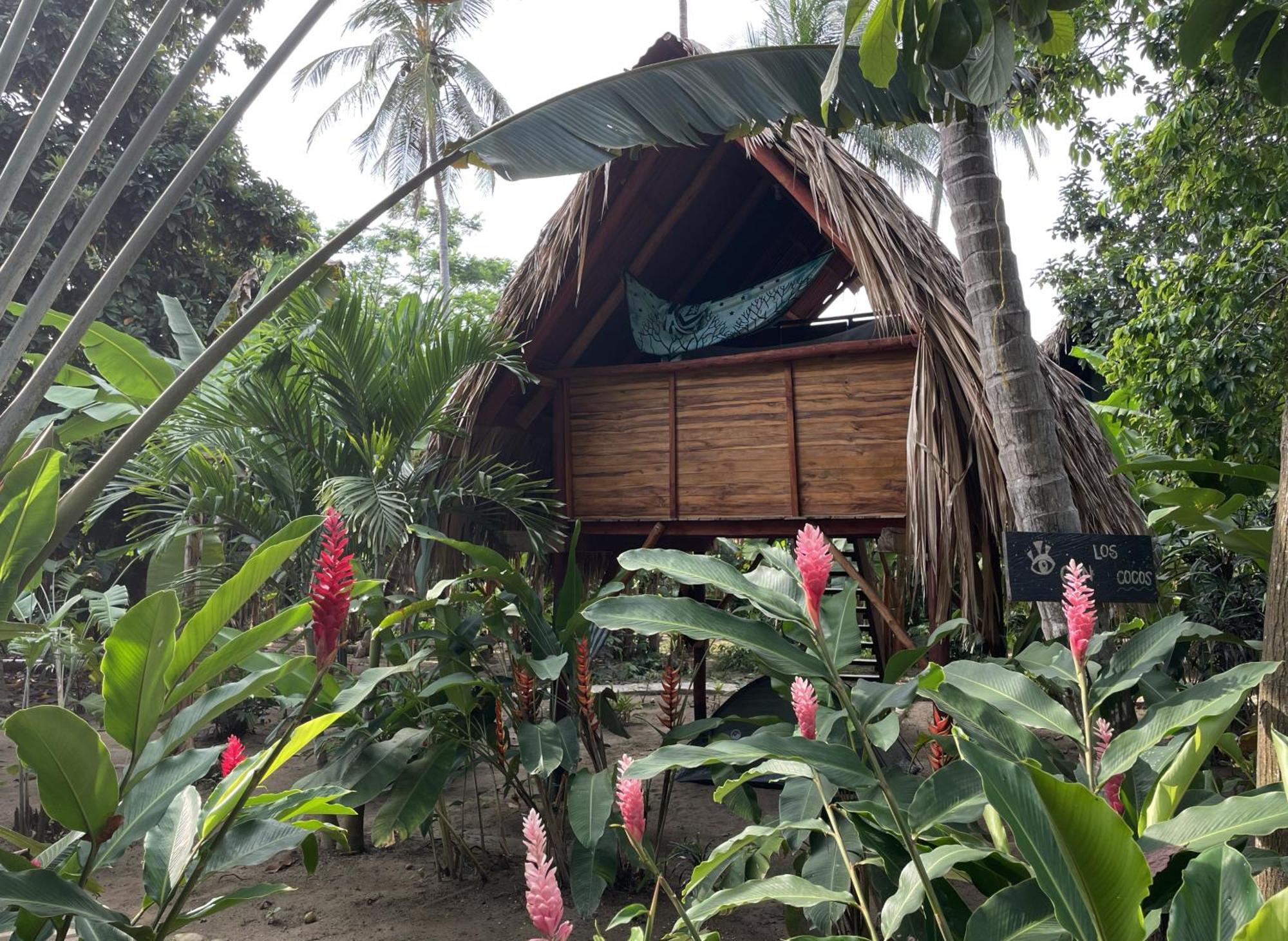 La Playita Hostel Guachaca Ngoại thất bức ảnh