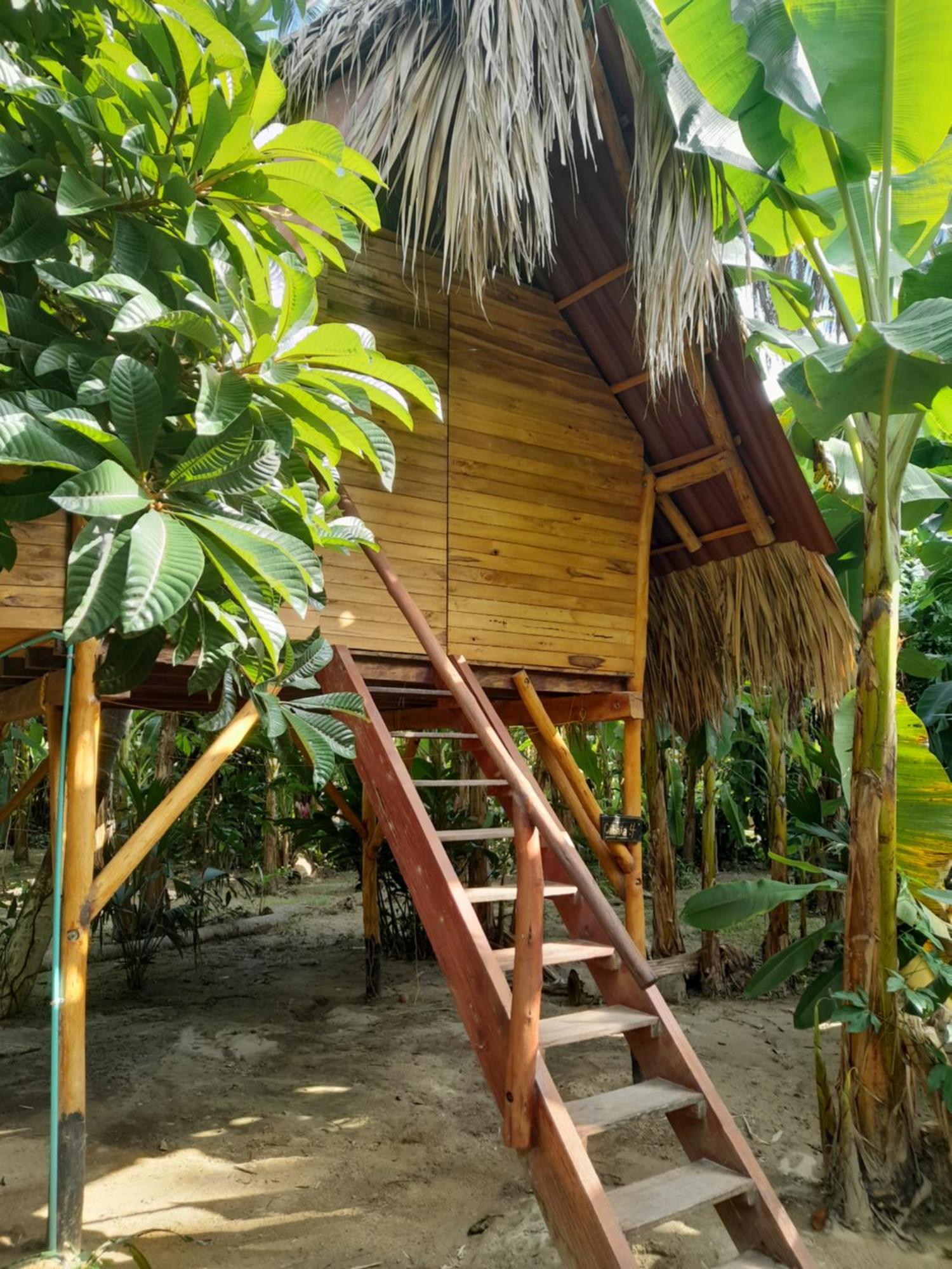 La Playita Hostel Guachaca Ngoại thất bức ảnh